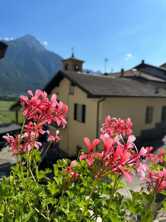 Sotto Al Bosco B&B E Azienda Agricola Dubino Exterior foto
